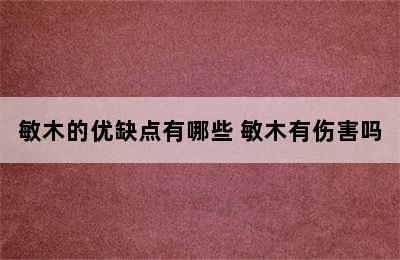 敏木的优缺点有哪些 敏木有伤害吗